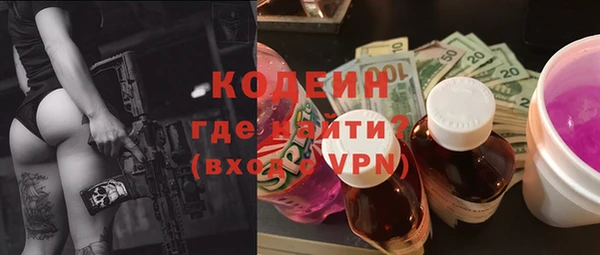 дживик Богородицк