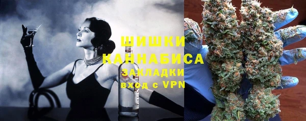 дживик Богородицк
