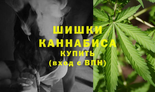 ешки Белокуриха