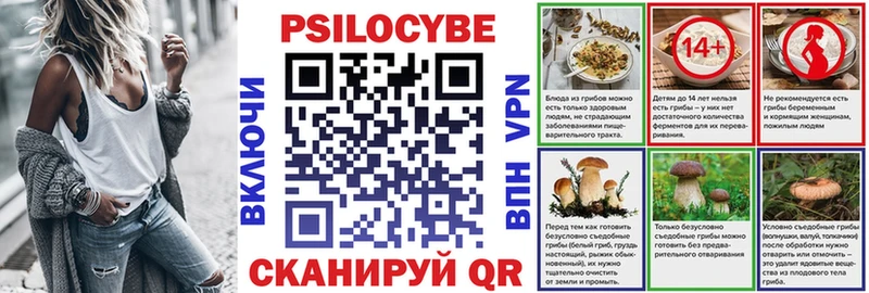 Галлюциногенные грибы Psilocybe  Дигора 